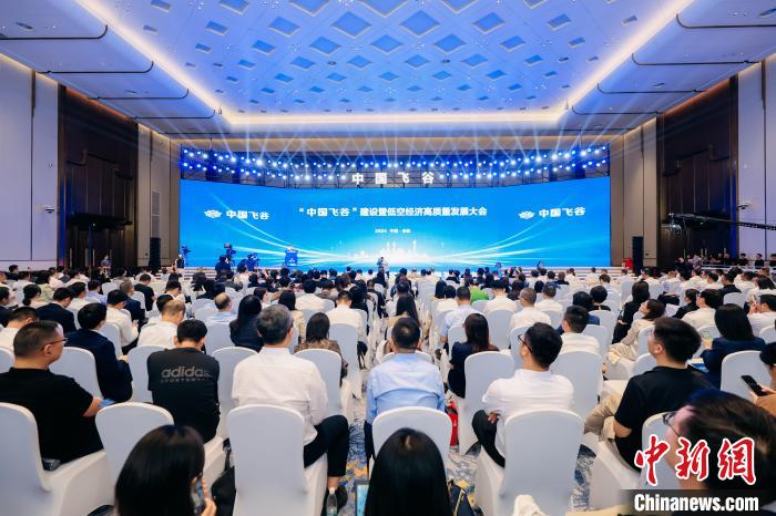 打造“中国飞谷” 杭州如何“展翅”低空经济？