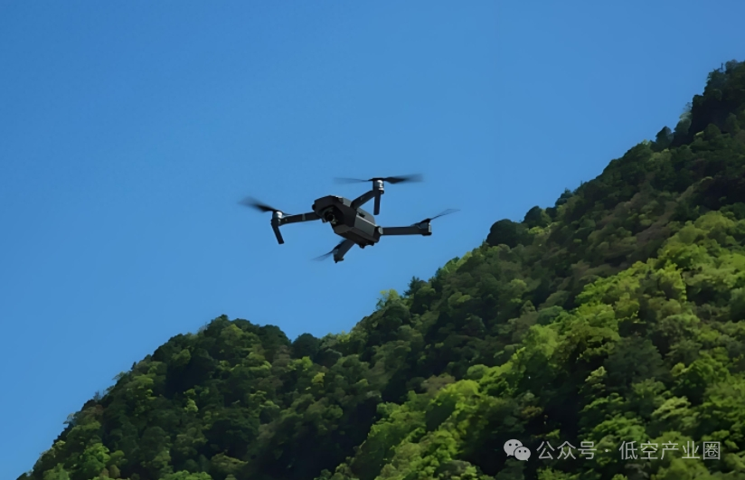 无人机在林业中的应用：彻底改变森林管理