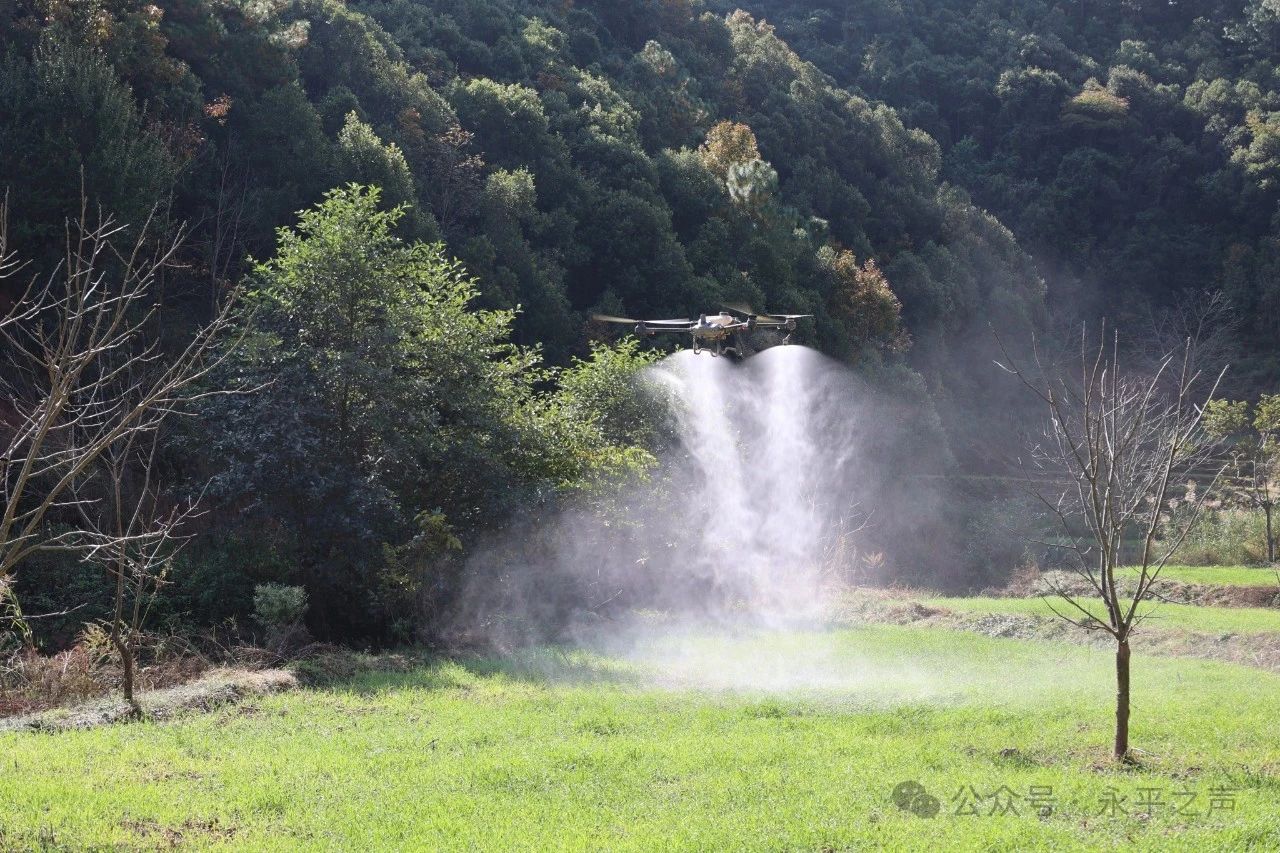 【奋勇争先 创优提质】无人机“上岗”，田间充满“科技范儿”