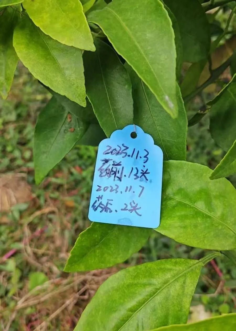 微信图片_20241217084033.jpg