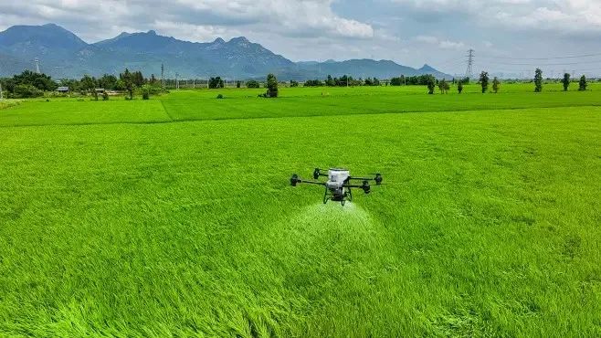 无人机在精准农业中的应用持续深入和广泛
