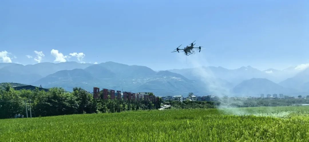 “低空经济”新赛道，雅安起飞！