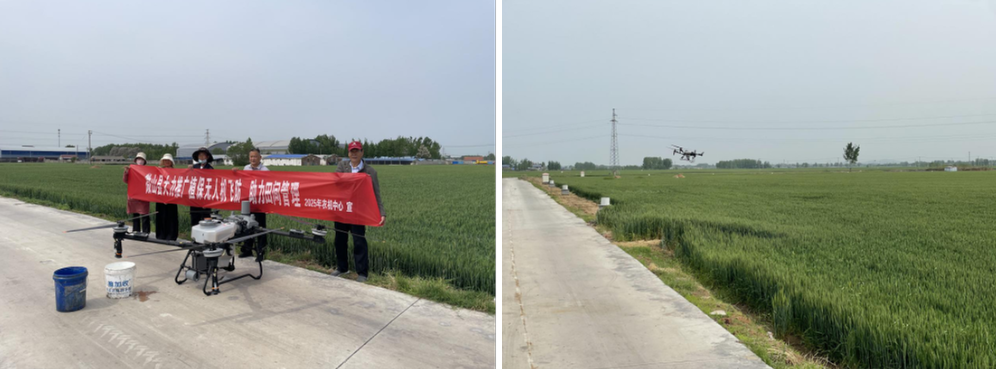 济宁：微山县植保无人机大显身手助力田间管理
