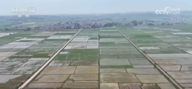 无人机追肥、机器人巡检……农业