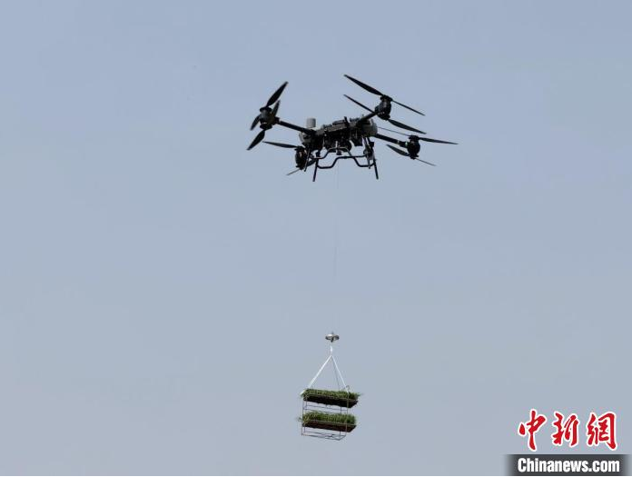 科技赋能水稻种植全产业链 沈阳