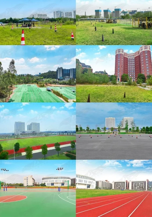 1748919614497.png