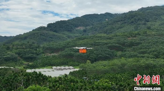 海南首个县域医疗低空物流网络全覆盖项目启动
