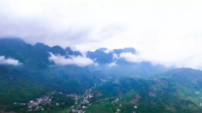 镇宁：“低空+农业”让蜂糖李“一飞冲天”