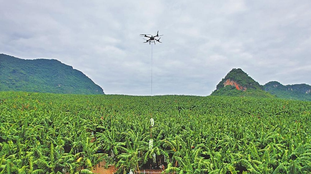 新和镇： 低空经济赋能乡村振兴