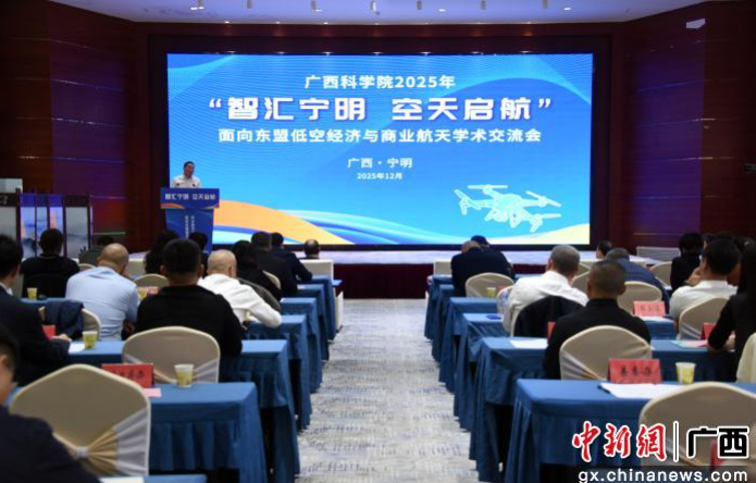 专家学者广西宁明共绘低空经济与商业航天产业面向东盟发展蓝图
