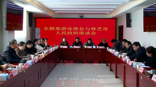 全国工商联旅游业商会与林芝市人民政府举行低空经济与文旅产业投