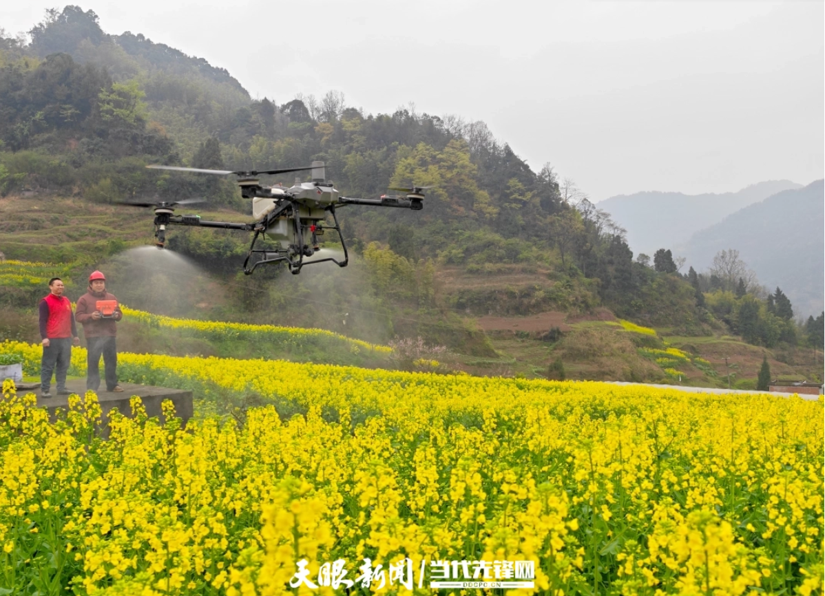 低空经济全链蓄势，产业“新势力”乘风起飞