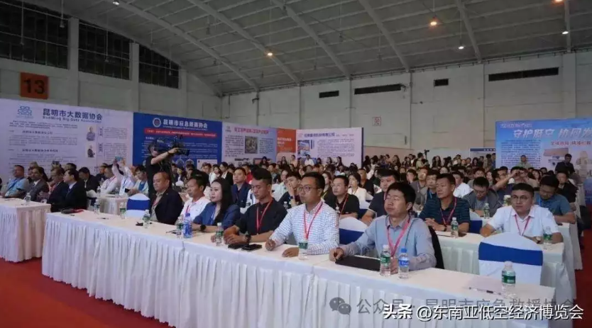 南亚东南亚多国驻昆领事官员出席2026云南低空经济博览会